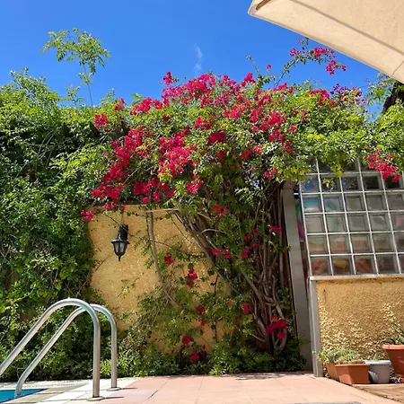 Danlin Hotell Göcek