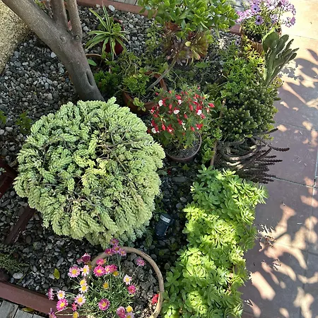 Danlin Hotell Göcek